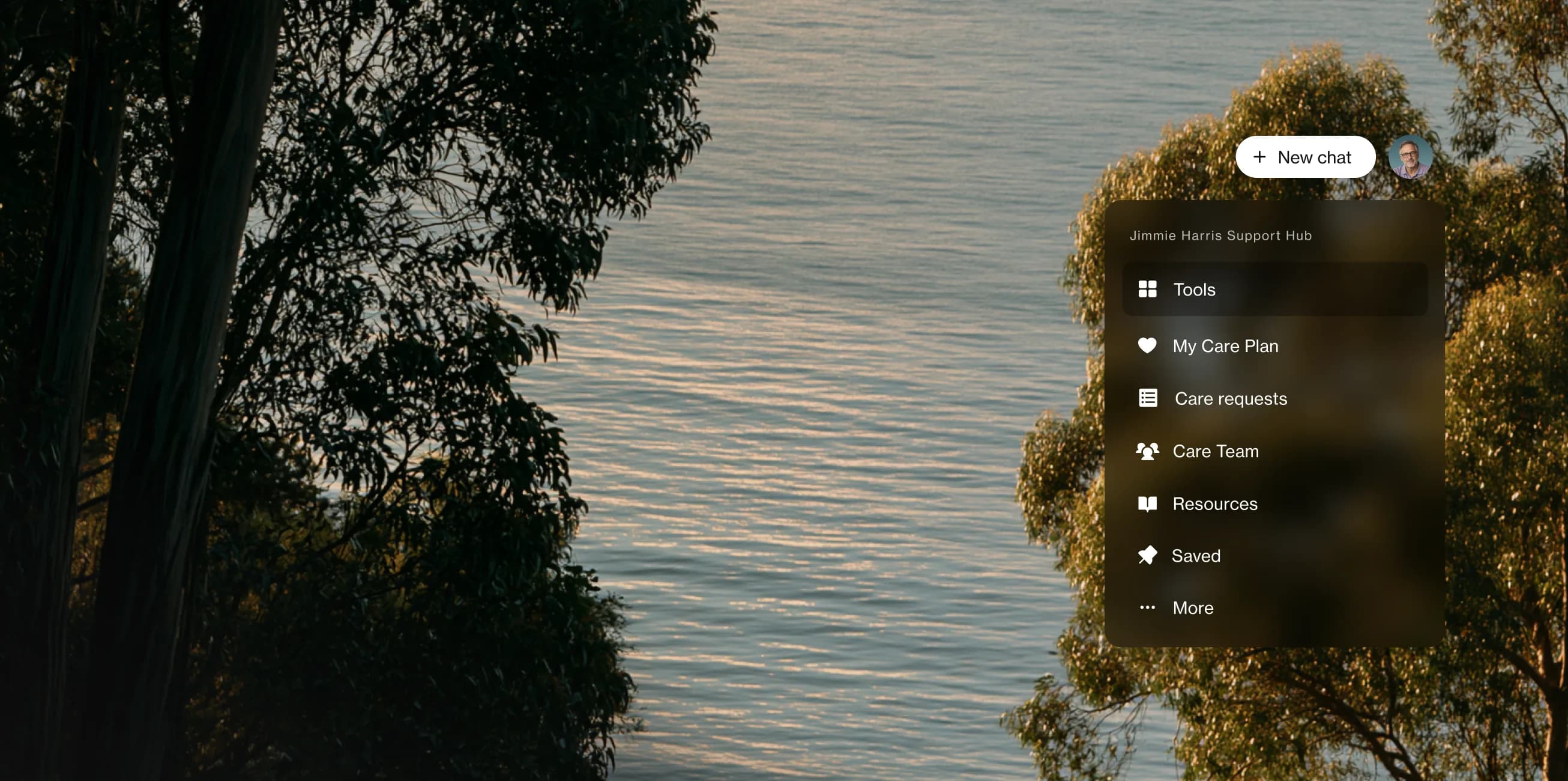 A eucalyptus branch over still water, beside the Empathy app's support hub menu