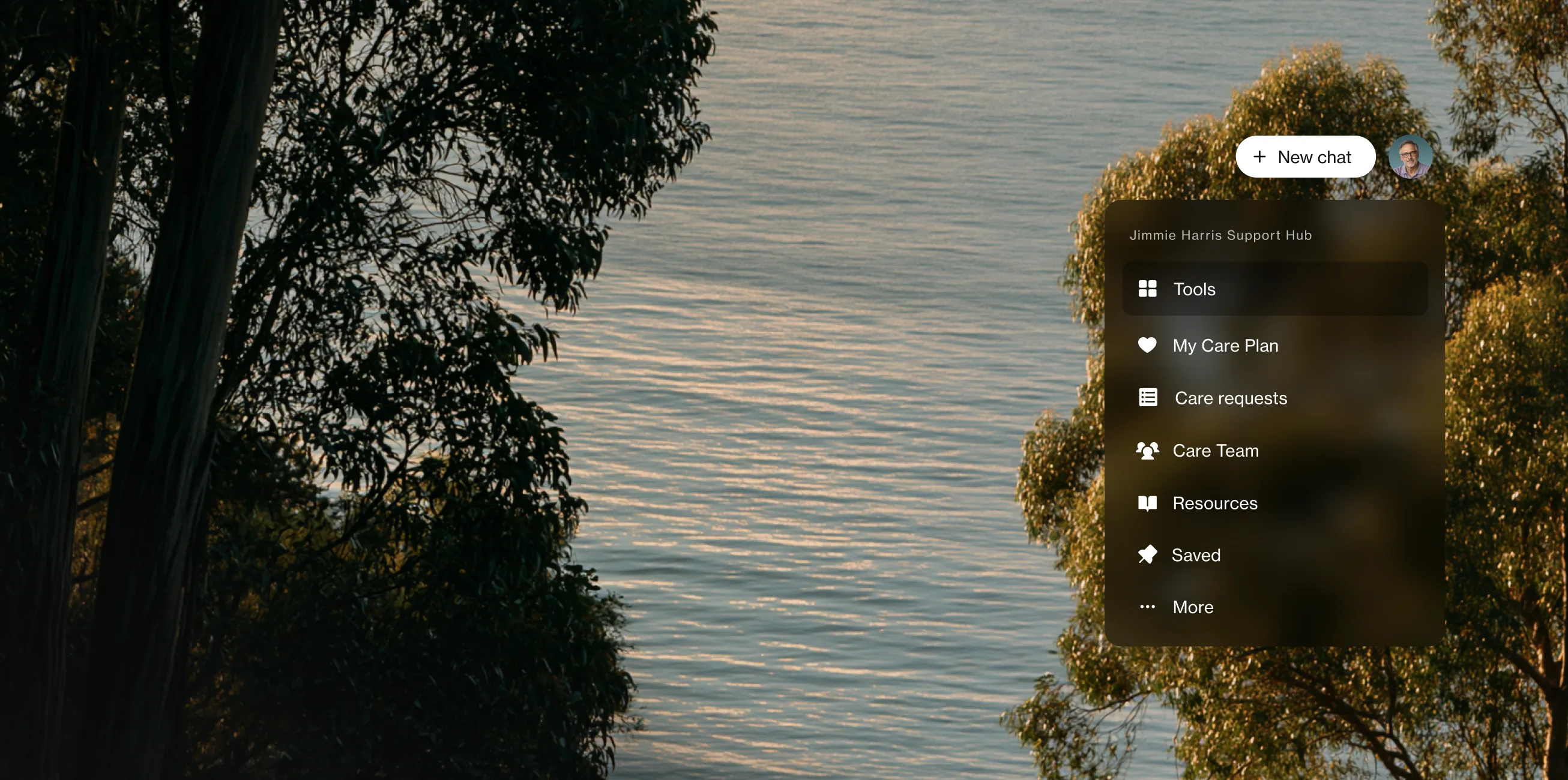 A eucalyptus branch over still water, beside the Empathy app's support hub menu