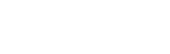 Lincoln Financial